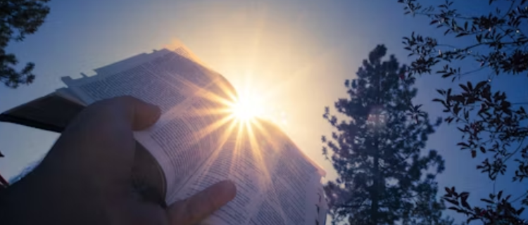 Echoes Of Divine Promise: Living In The Power Of God’s Word