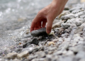 Unseen Battles, Unconventional Weapons: Harnessing Divine Power In Our Daily Struggles