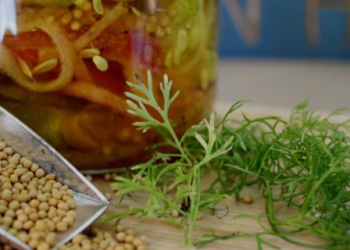 Mustard Seed Faith: Moving Mountains In Our Lives