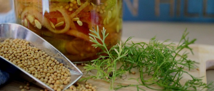 Mustard Seed Faith: Moving Mountains In Our Lives
