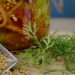 Mustard Seed Faith: Moving Mountains In Our Lives